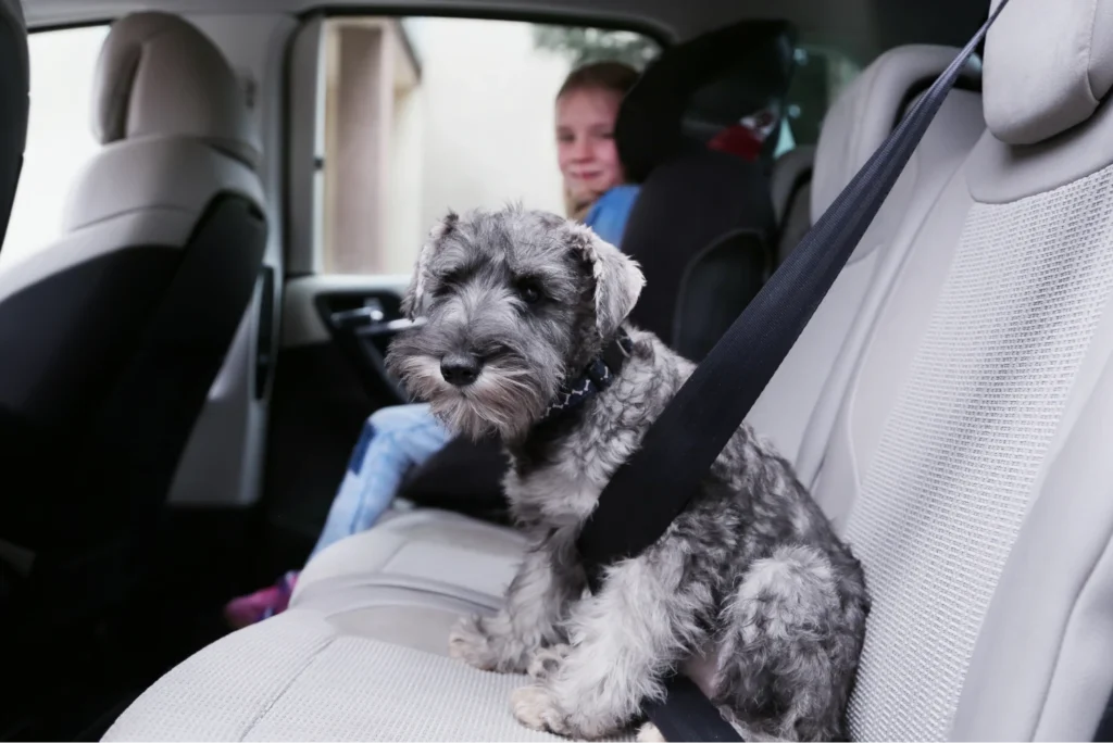 adjustable dog car safety seat belt