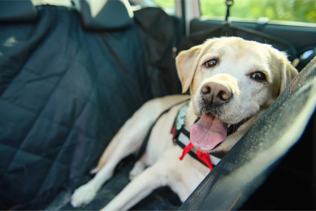 jeep seat covers for dogs